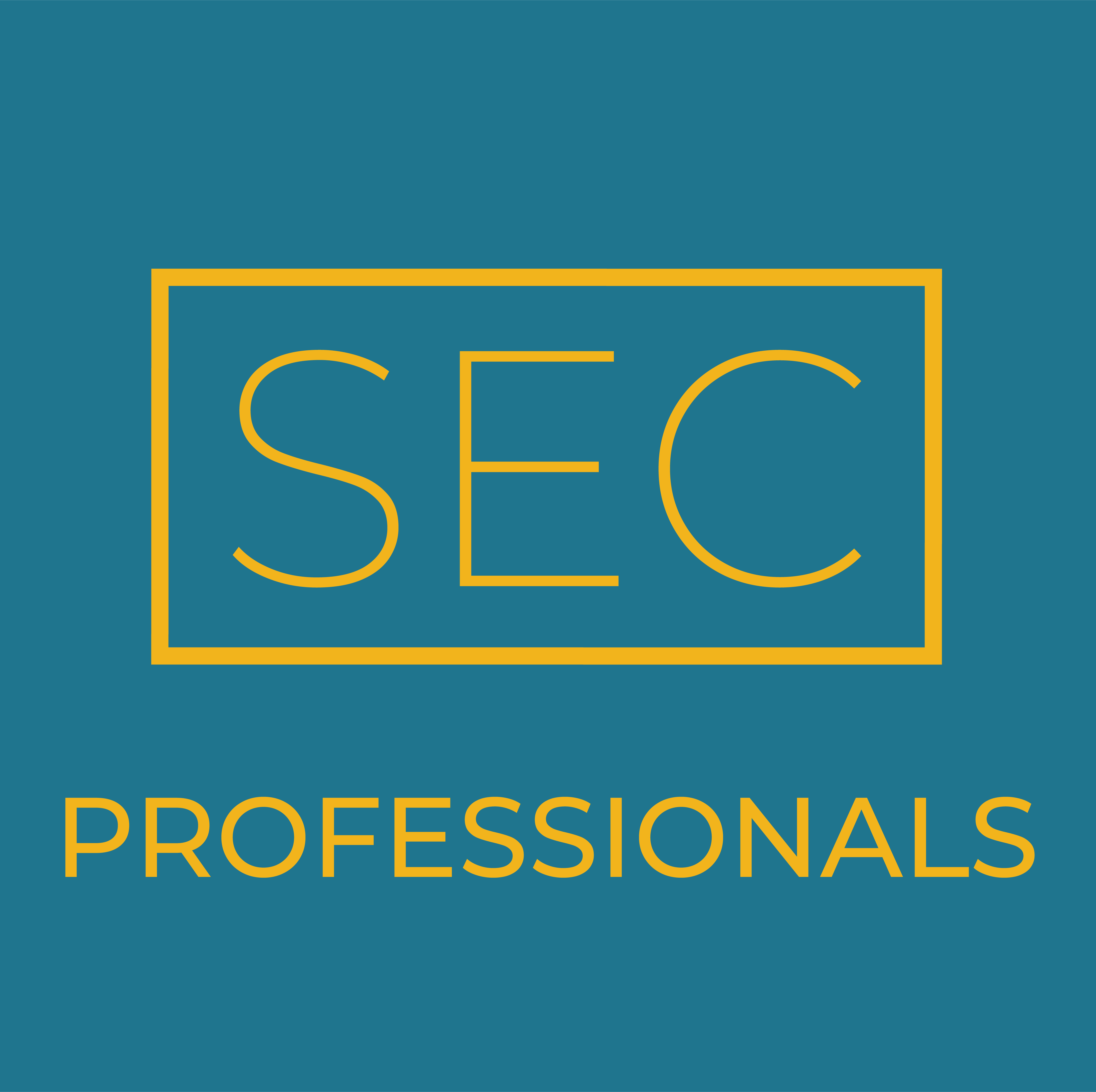 Logo SEC Professionals